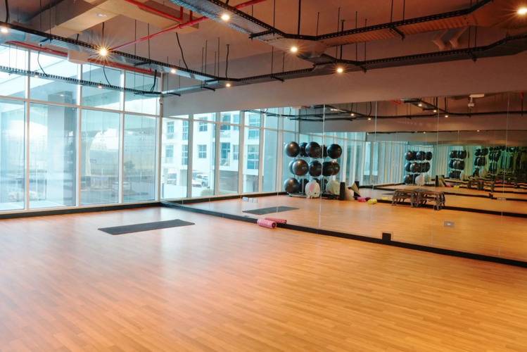Knokey Studio One Marina
