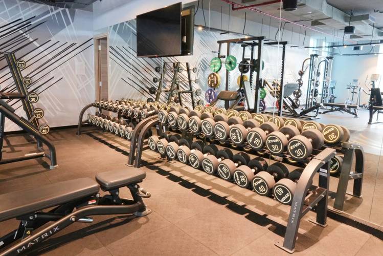Knokey Studio One Marina