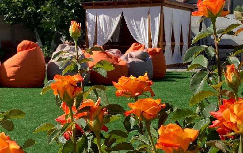 Гостевой Lом Ромполь