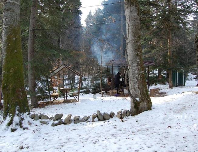 Лесогорье