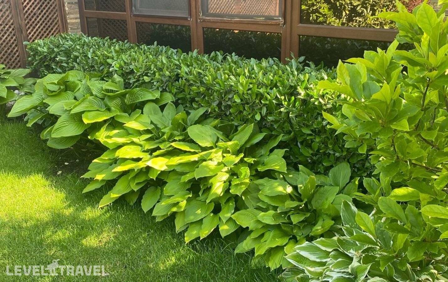 фотографии отеля Гостевой Дом Sineva Del Sol в Россия(Крым) - фото №12