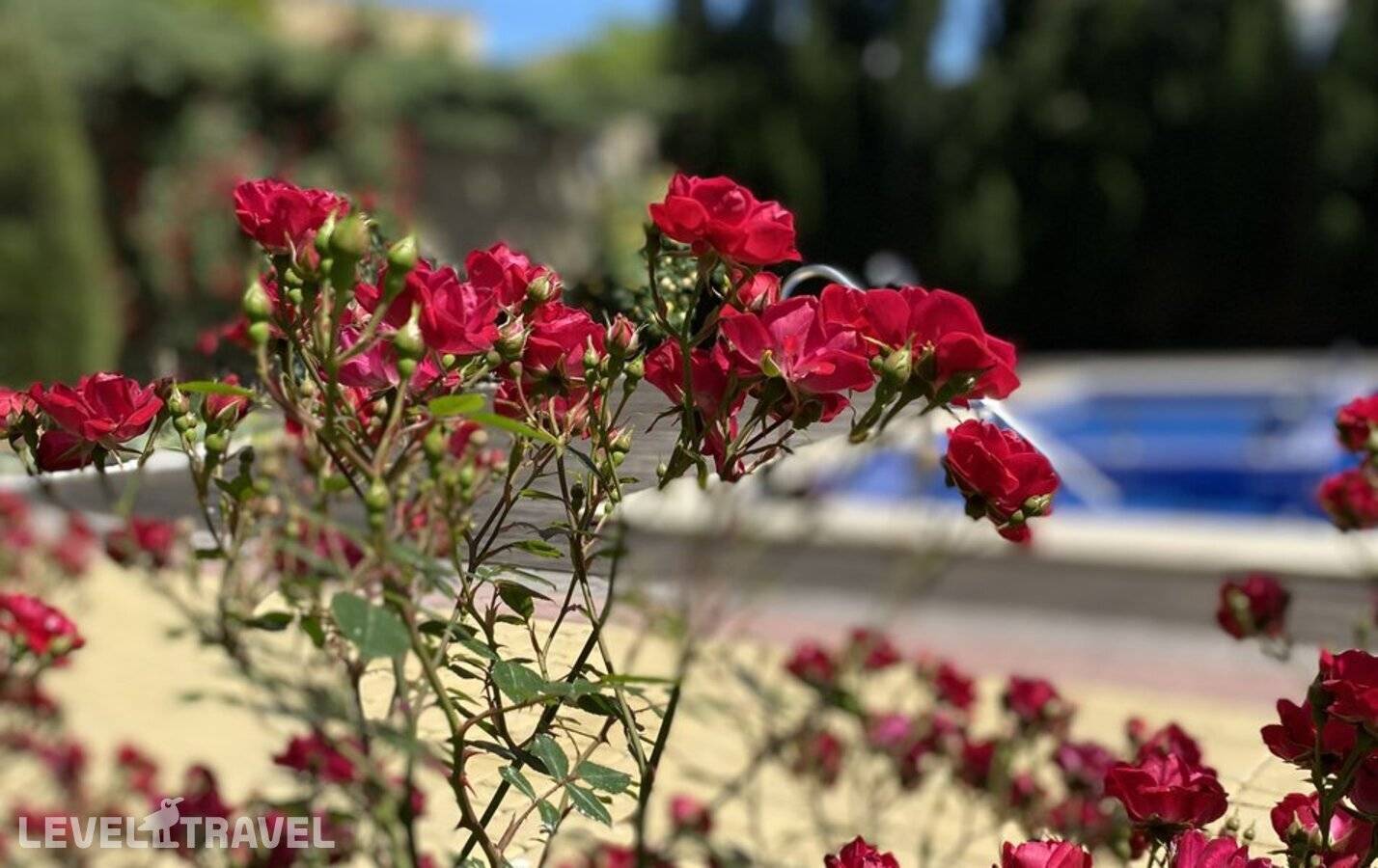 фотографии отеля Гостевой Дом Sineva Del Sol в Россия(Крым) - фото №10