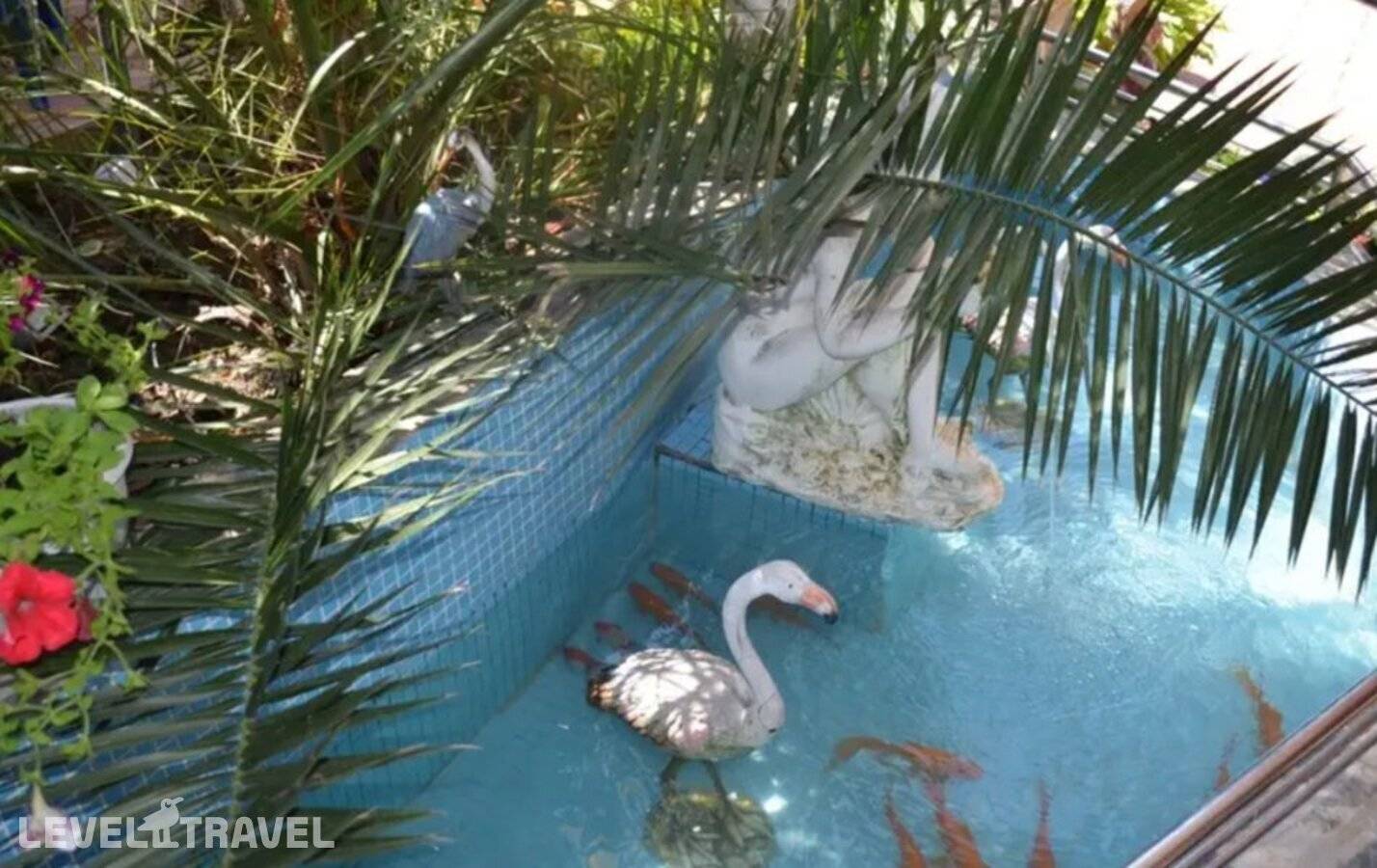 фотографии отеля Гостевой Дом Камелия в Россия(Вардане) - фото №13