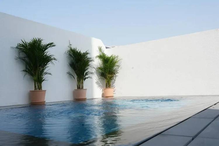 Shada Hotel Jumeirah