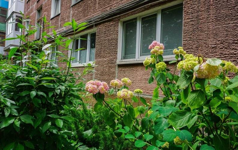 Савина На Пролетарской 78 Апартаменты
