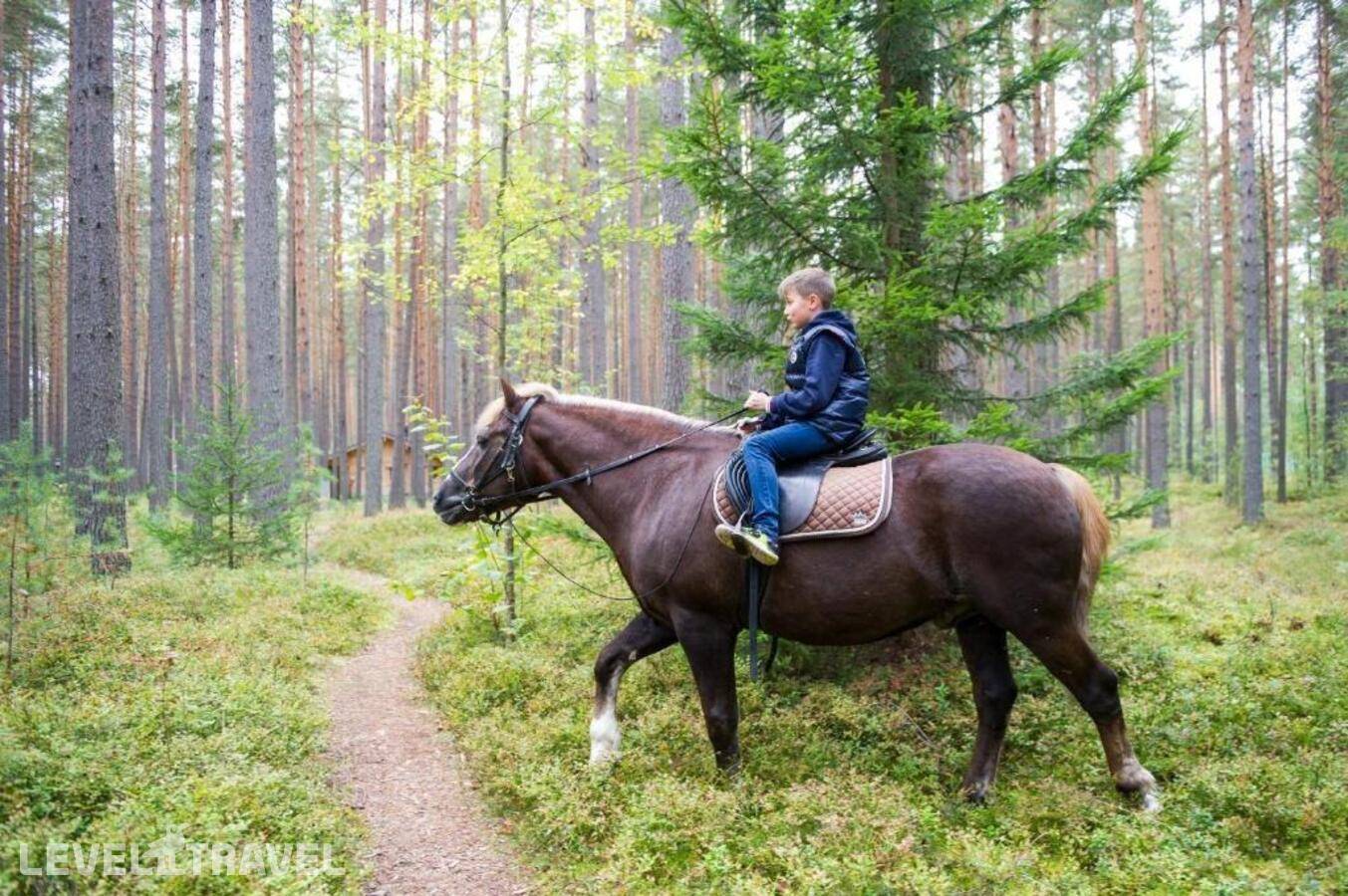 Изображение отеля 45