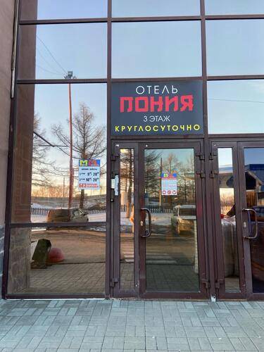 Пония