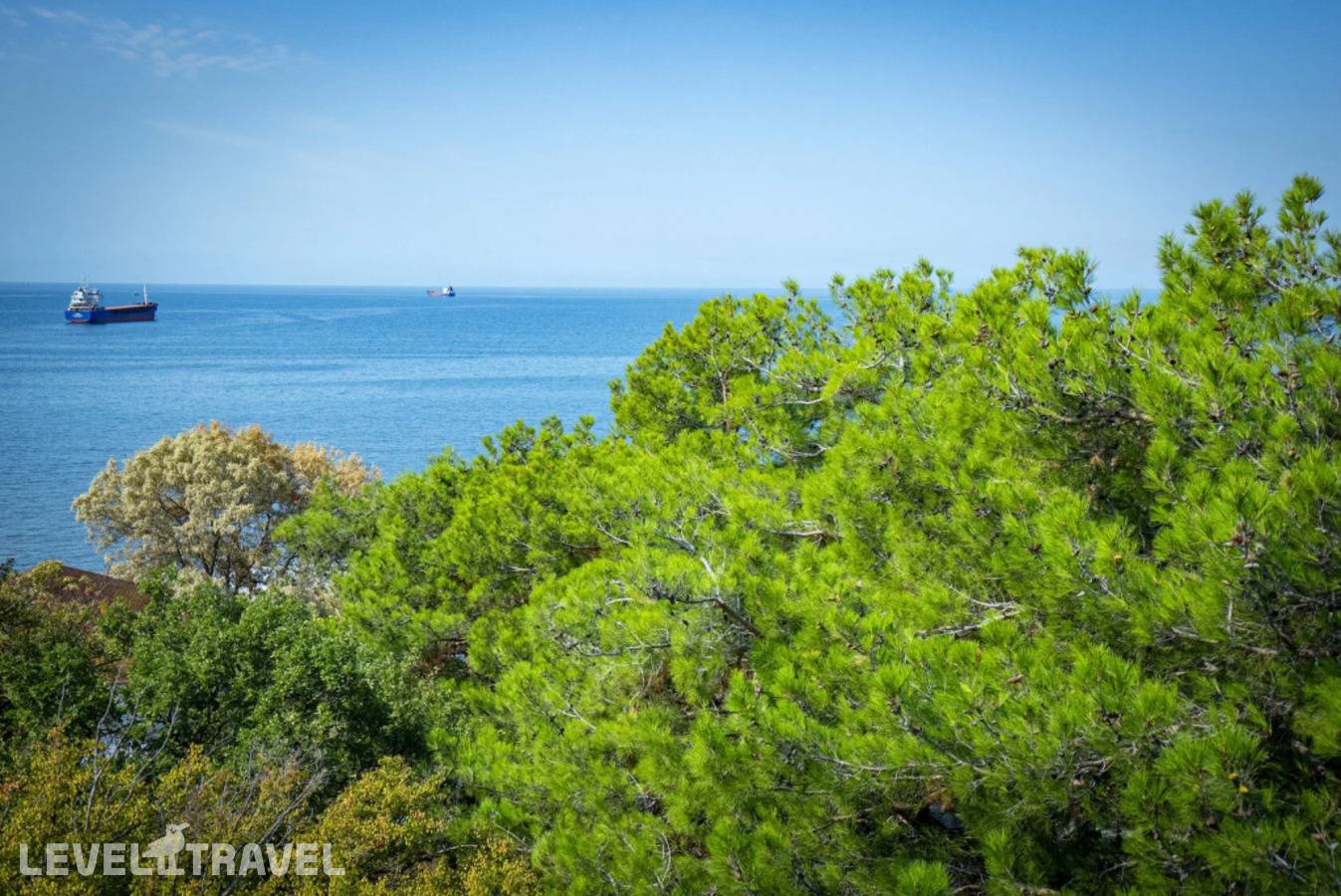 фотографии отеля Черноморская Здравница Кабардинка в Россия(Кабардинка) - фото №8