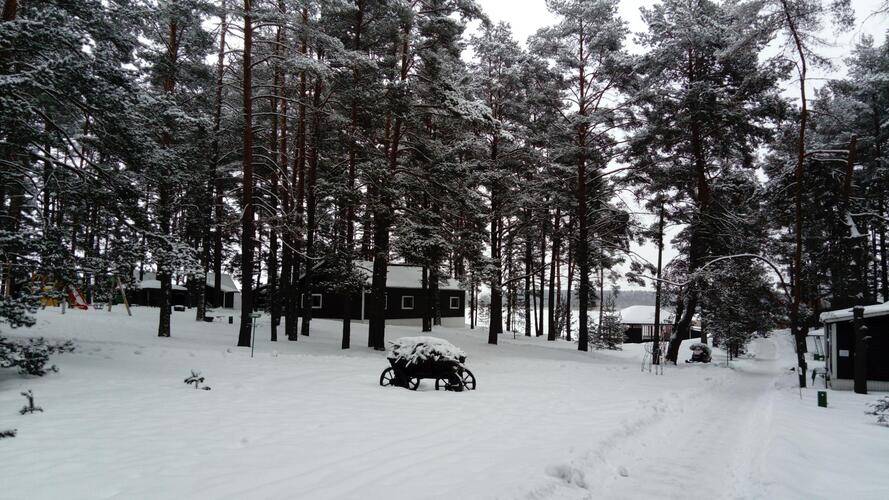 Лукоморье