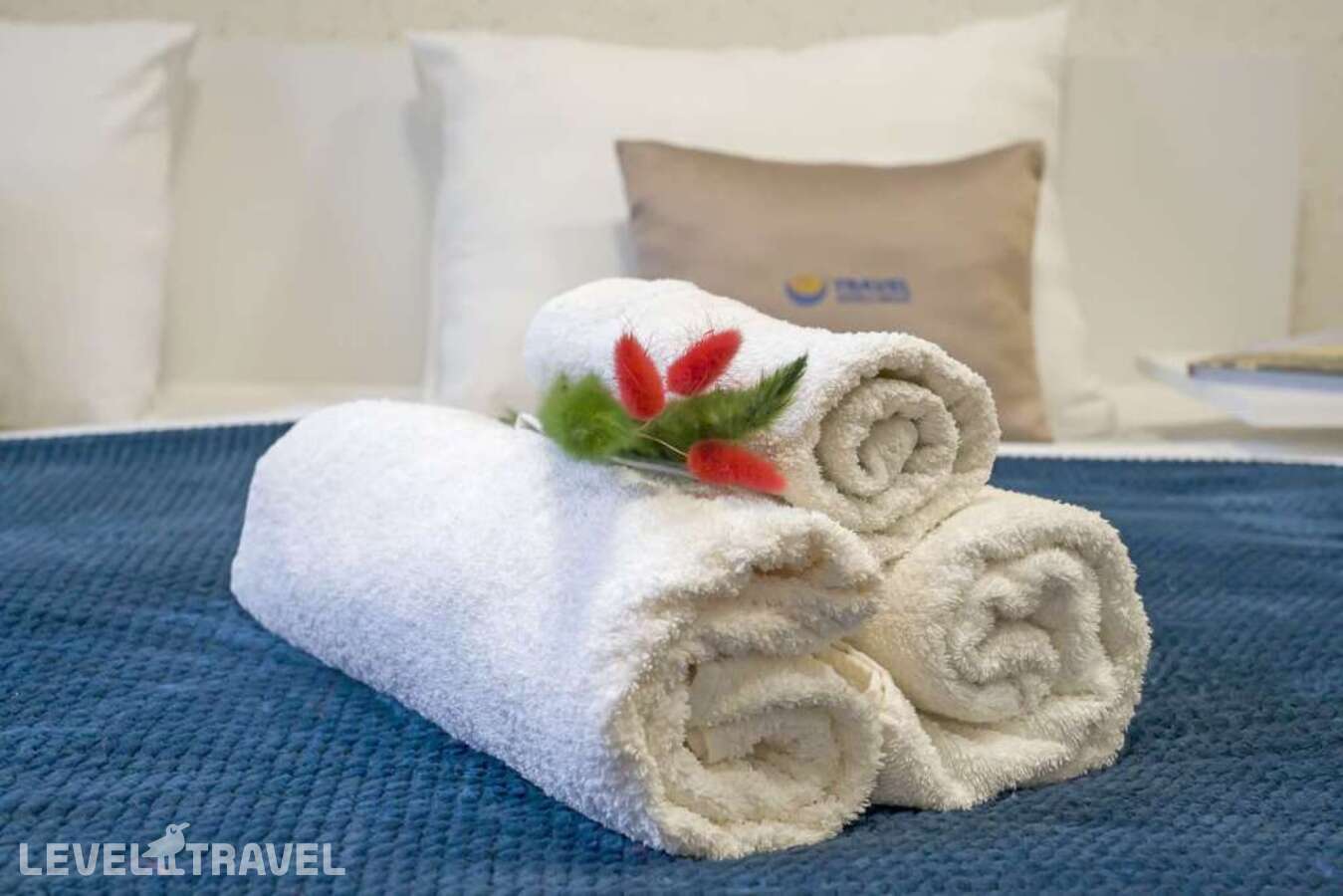 фотографии отеля Нева в Россия(Фрунзенский район) - фото №3