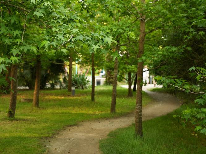 Кристалл