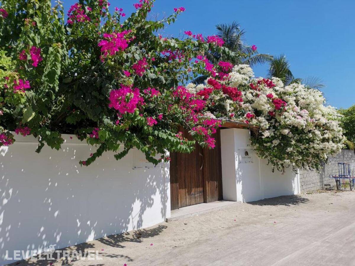 фотографии отеля Ahola Thoddoo (Ex. Holiday Cottage Block B) в Мальдивы(Тодду ) - фото №3