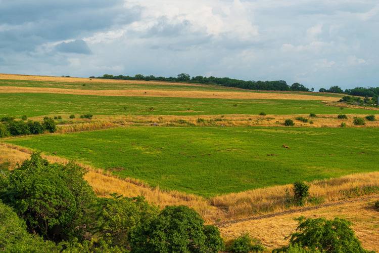 Апартаменты С Потрясающим Видом На Море От Letoapart