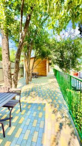 Волга-Волга