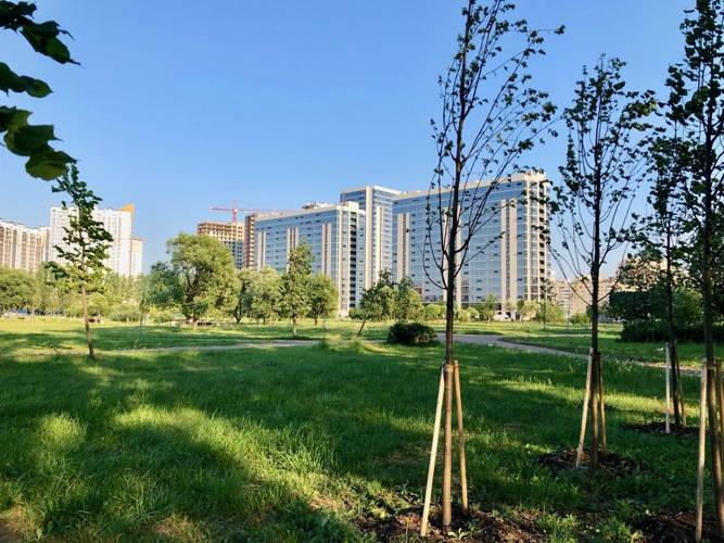 Апартаменты A.M. Rooms Pulkovo Park