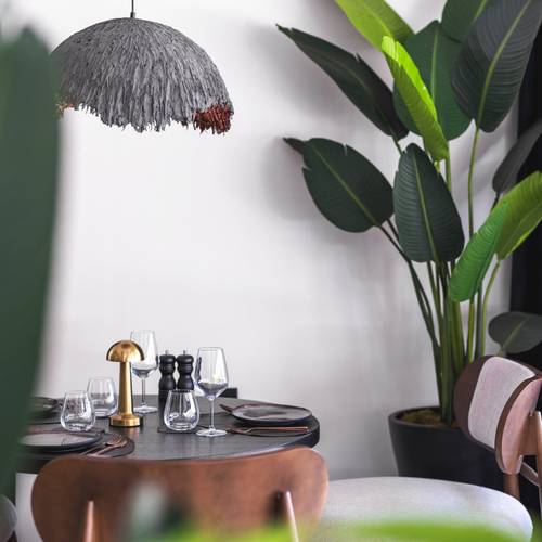 Luff Living (Adults Only 12+)