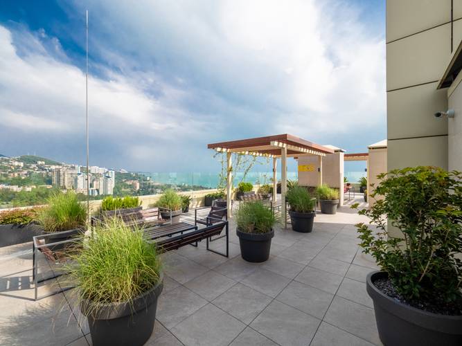 Апартаменты Дизайнерские С Видом На Море И Дендрарий