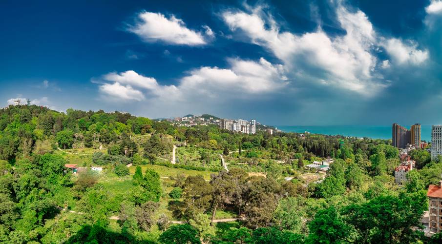 Апартаменты Дизайнерские С Видом На Море И Дендрарий