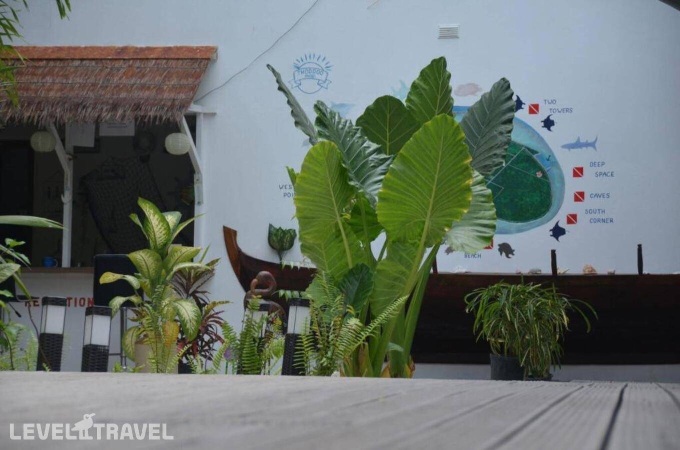 фотографии отеля Dive Villa Thoddoo в Мальдивы(Тодду ) - фото №10