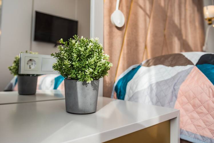 Апартаменты Курортный Проспект 53 — фото 2