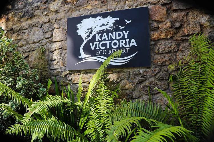 Kandy Victoria Eco