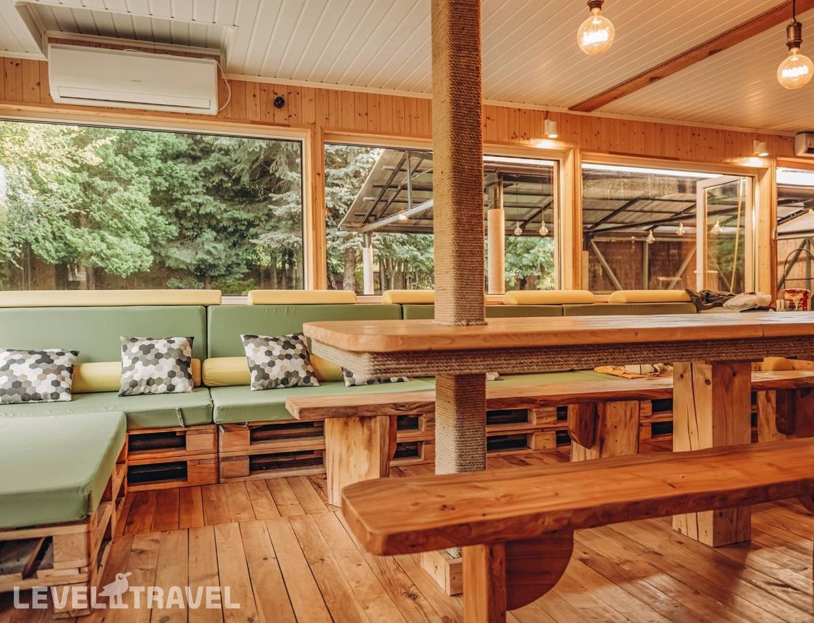 фотографии отеля Тихая Гавань в Россия(Светлогорск) - фото №13