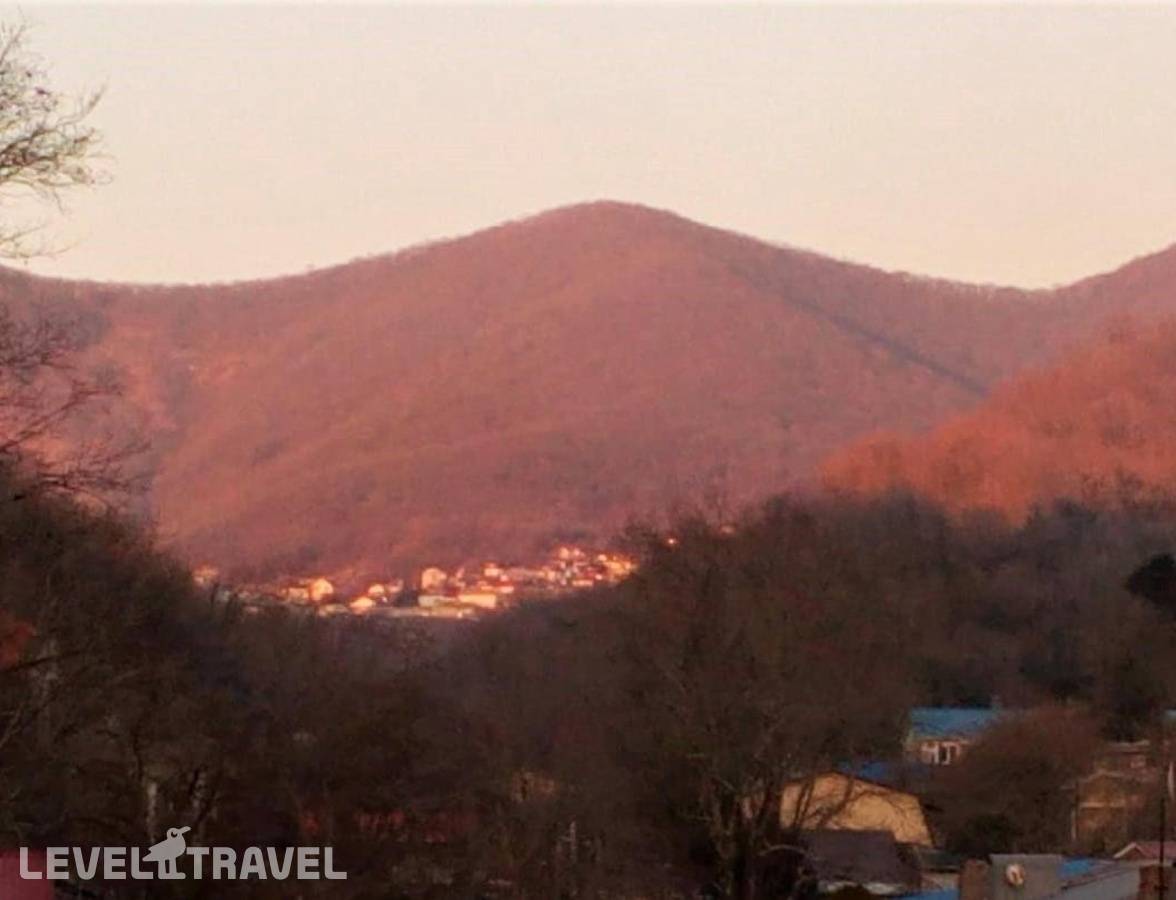 фотографии отеля Пальма в Россия(Туапсе) - фото №4