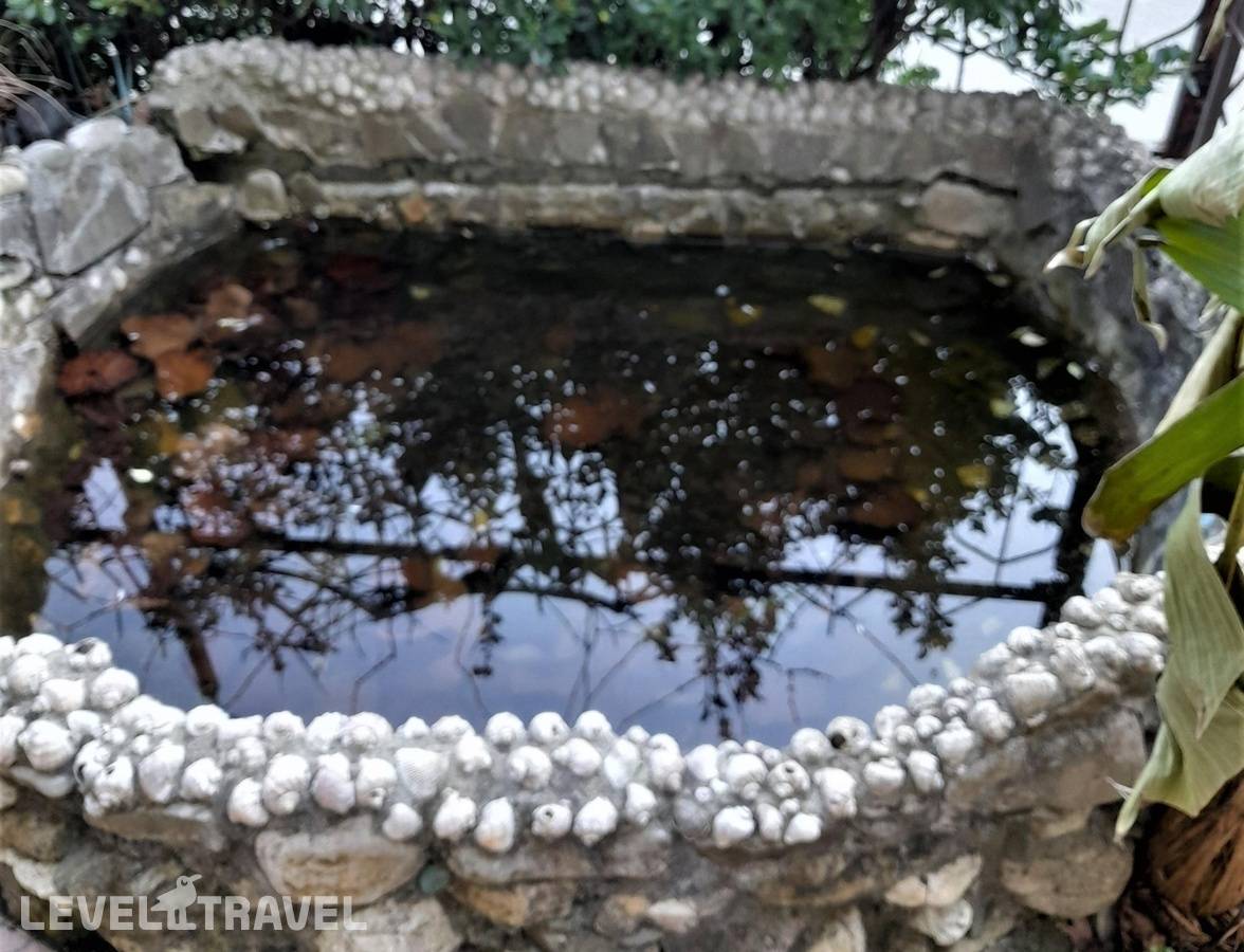 фотографии отеля Пальма в Россия(Туапсе) - фото №21