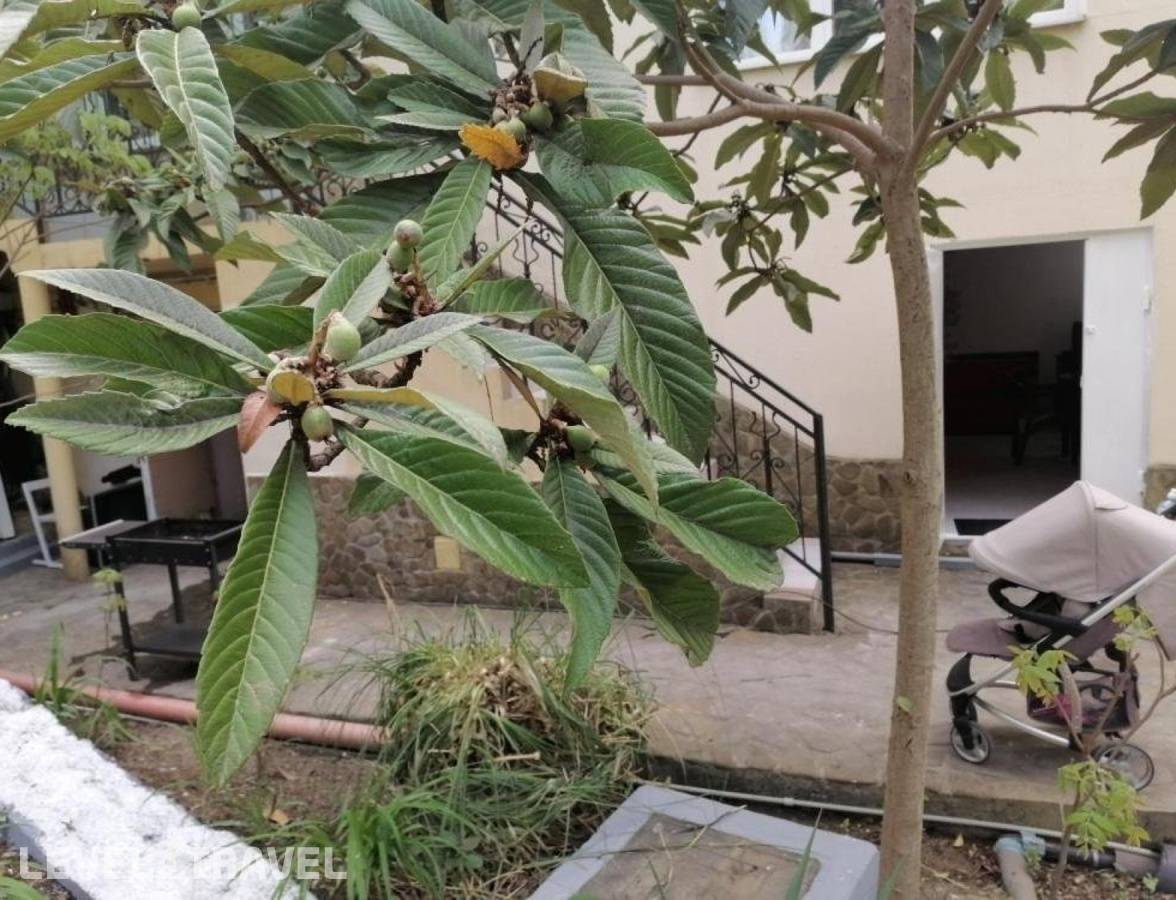 фотографии отеля София-Rooms в Россия(Хоста) - фото №22