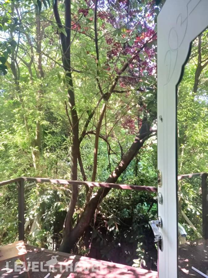 фотографии отеля Апартаменты Terrazza в Россия(Сочи) - фото №2