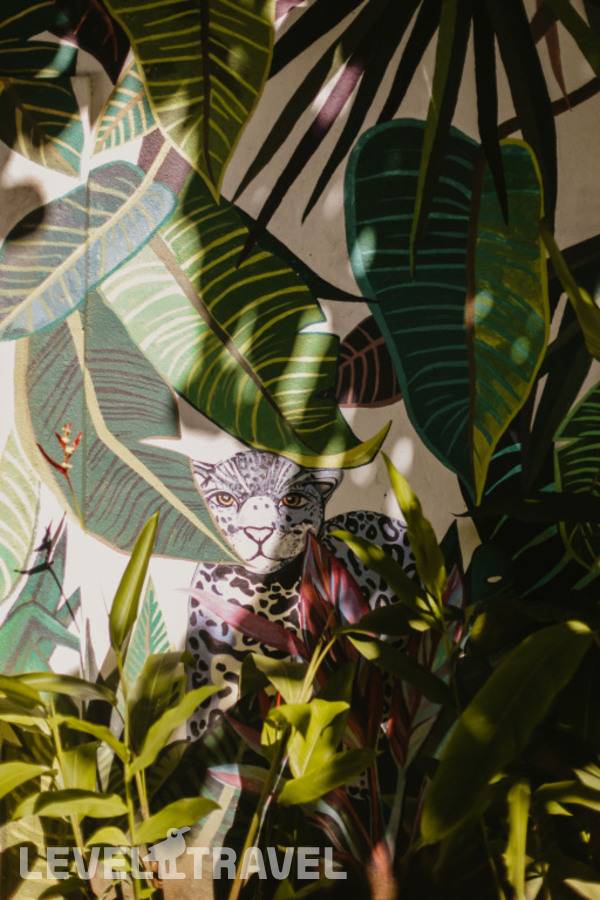 фотографии отеля Jungle Soul в Шри-Ланка(Мирисса) - фото №15