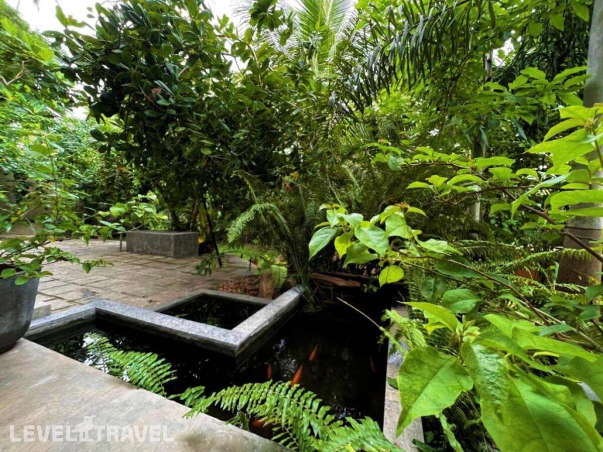 фотографии отеля My Home в Шри-Ланка(Хиккадува) - фото №12