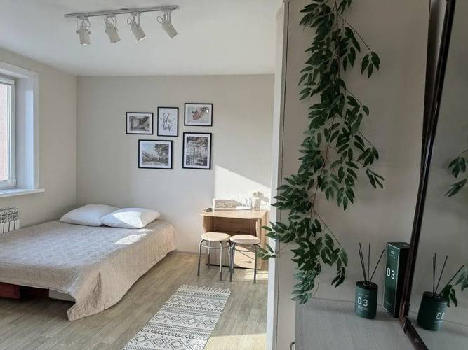 Апартаменты На Проспект Мира 300к6