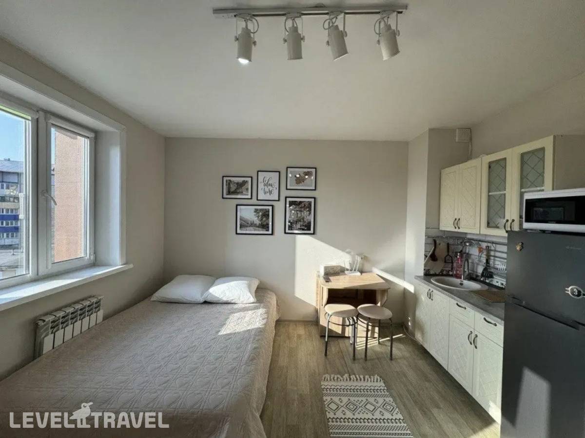 фотографии отеля Апартаменты На Проспект Мира 300к6 в Россия(Южно-Сахалинск) - фото №5