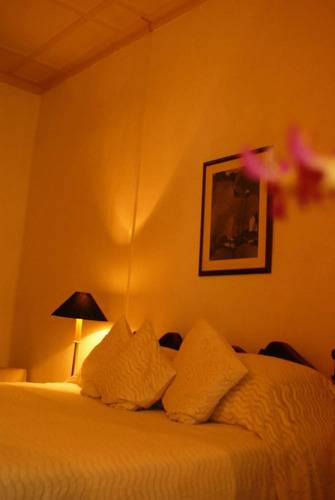 Havelock Place Bungalow