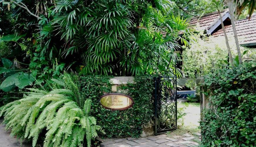 Havelock Place Bungalow