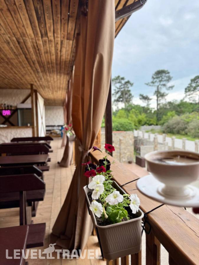 фотографии отеля Dematua Мини-Гостиница в Абхазия(Гагра) - фото №7