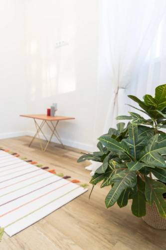 Malkova Apartments На Энгельса 28