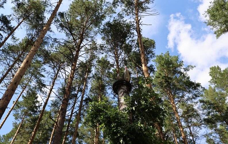 Духлес База Отдыха