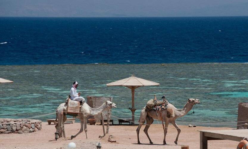 Daniela Village Dahab