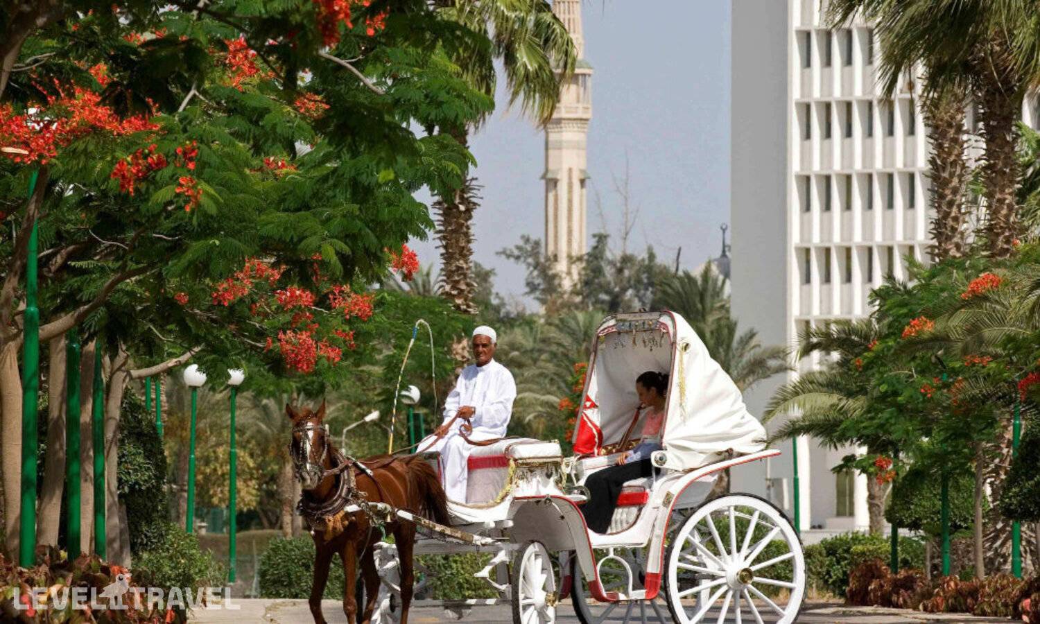 фотографии отеля Mercure Ismailia Forsan Island Hotel в Египет(Исмаилия) - фото №42