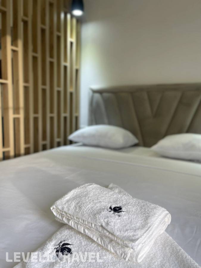 фотографии отеля Aygestan Plaza в Армения(Ереван) - фото №14