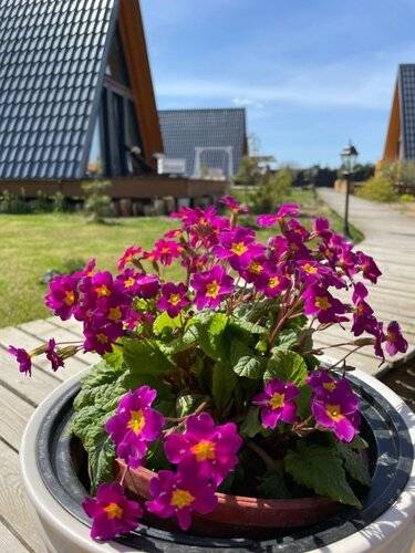 Пятый Сезон