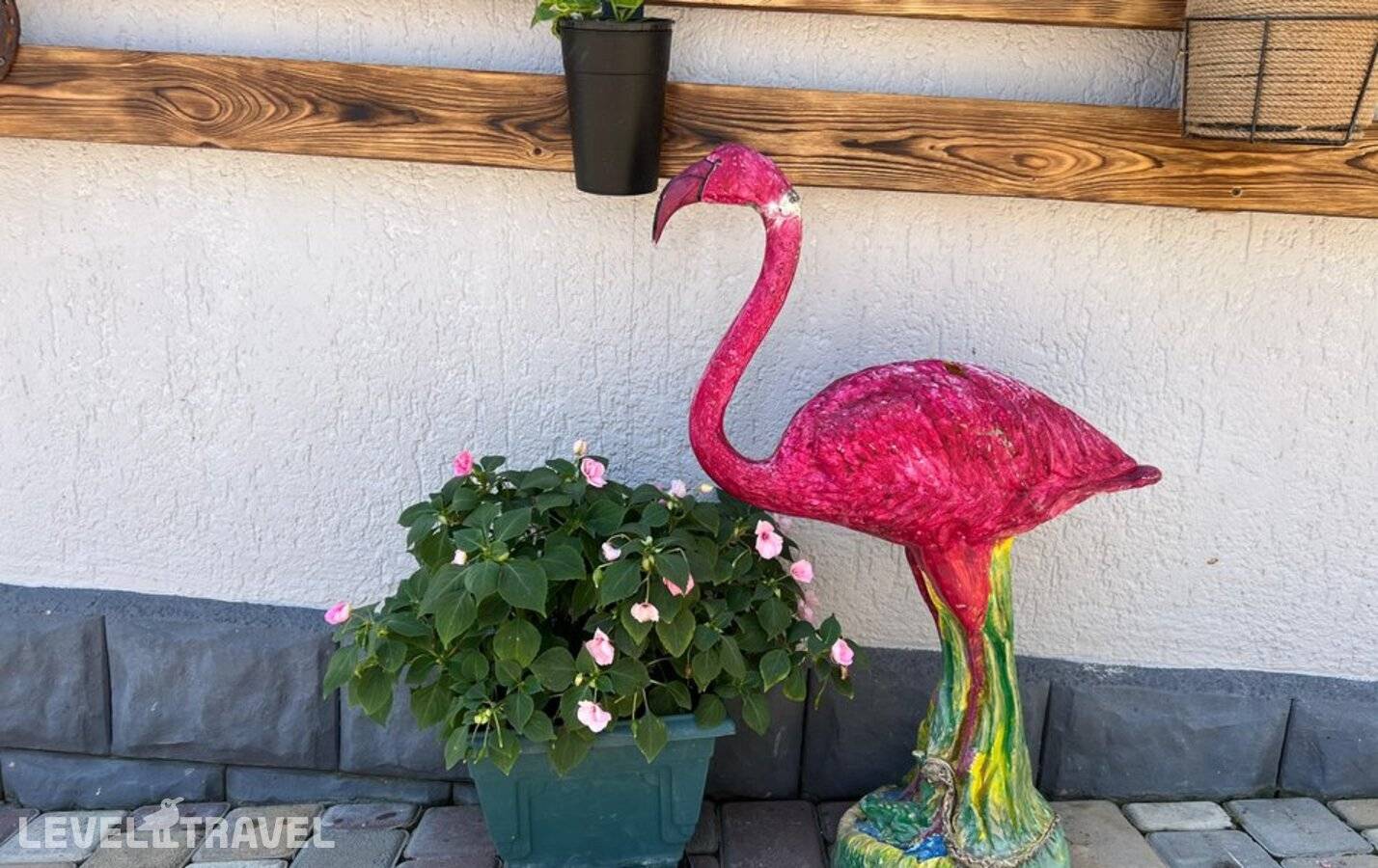 фотографии отеля Фламинго Гостевой Дом в Россия(Ольгинка) - фото №6