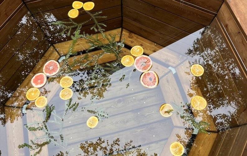 Klever House (Клевер Хаус) Лехтуси Парк Коттеджный Поселок