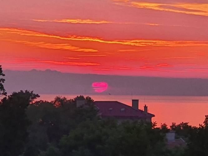 Апартаменты Studio Cranz-Apart