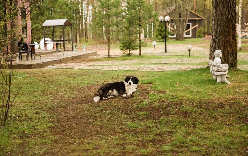 Пять Звезд Цвелодубово Загородный Комплекс