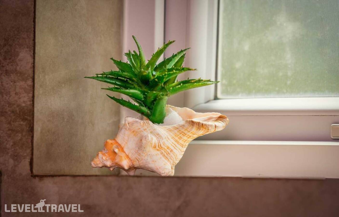 фотографии отеля The Palace By Ocean в Шри-Ланка(Ахунгала) - фото №29