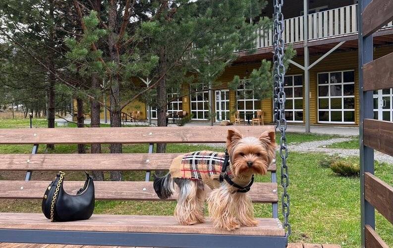 Ранчо Техас