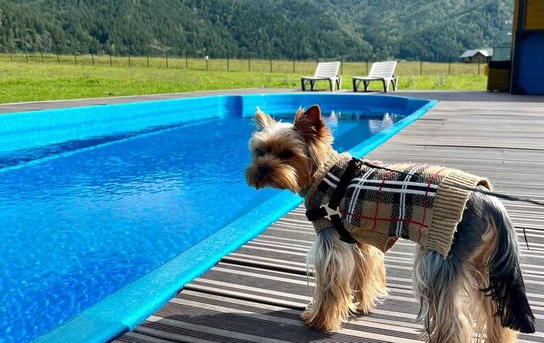 Ранчо Техас